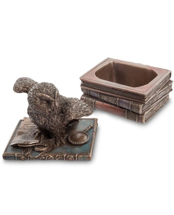 Veronese Шкатулка-статуэтка Сова на книгах (12см) 75511A4 | 75511A4_veronese_cask_owl_12_3