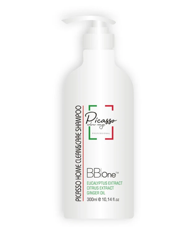 BBOne - Шампунь для всех типов кожи головы и волос Picasso Home Care Clean&Care Shampoo 300 мл