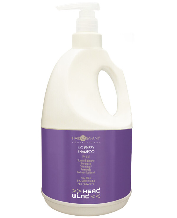 Hair Company professional - Smoothing shampoo Head Wind No Frizzy Shampoo 2000ml