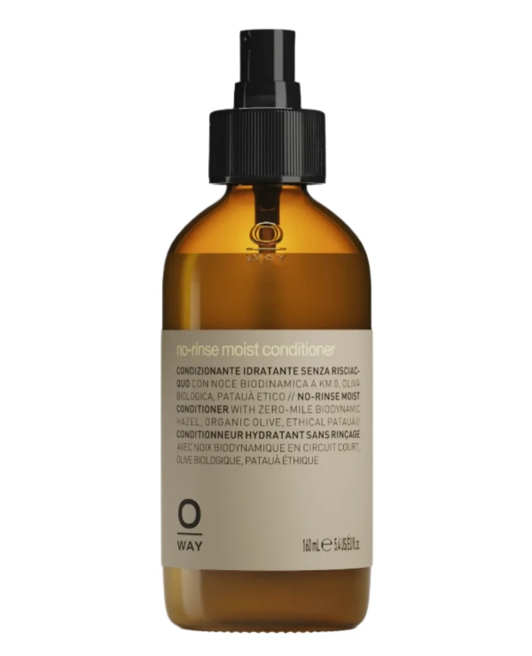 OWAY Rolland - Indelible hair conditioner No-Rinse Moist Conditioner 160 ml
