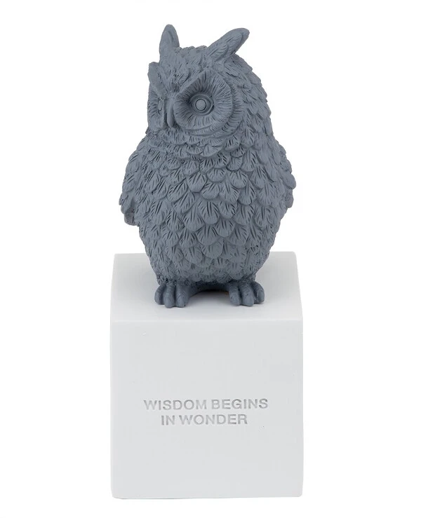 Statuettes - Статуэтка Owl (25 см)  Серый