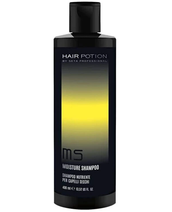 Hair Potion - Питательный шампунь для сухих волос Moisture Shampoo 400 мл