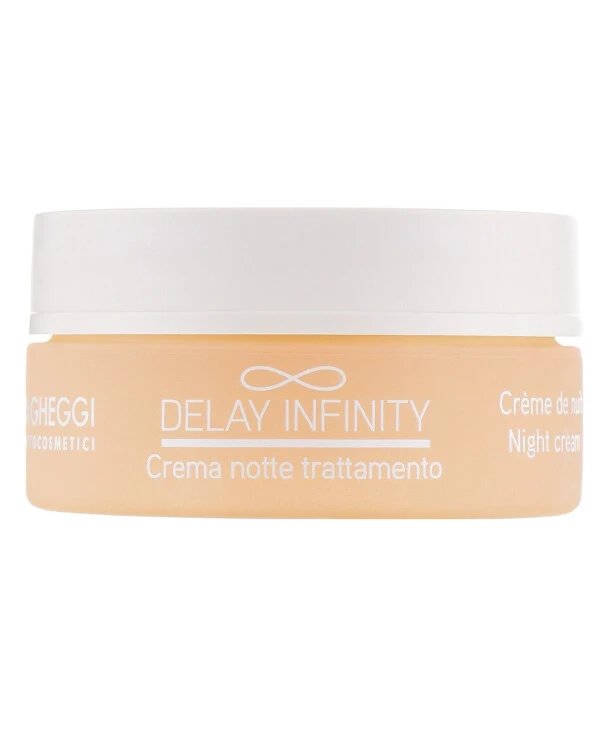 Vagheggi - Крем ночной интенсивный Delay Infinity Night Cream 50 мл back