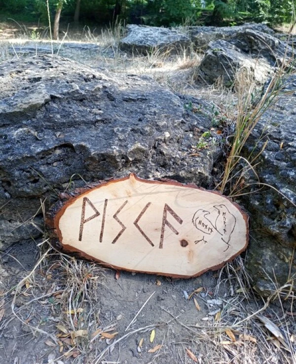 Workshop of Svartas Artifact Sacred runic word ᚹᛁᛋᚲᚫ (Wisdom) | viska2