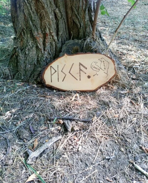 Workshop of Svartas Artifact Sacred runic word ᚹᛁᛋᚲᚫ (Wisdom) | viska3