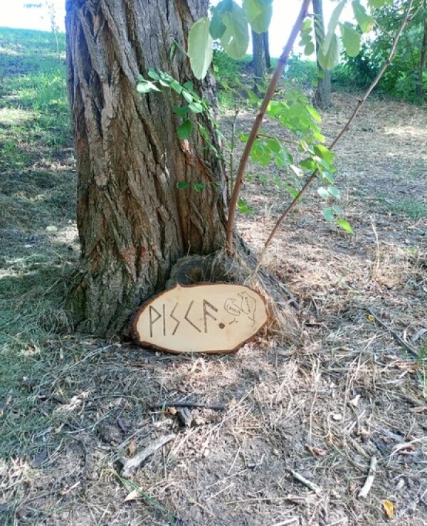 Workshop of Svartas Artifact Sacred runic word ᚹᛁᛋᚲᚫ (Wisdom) | throw4