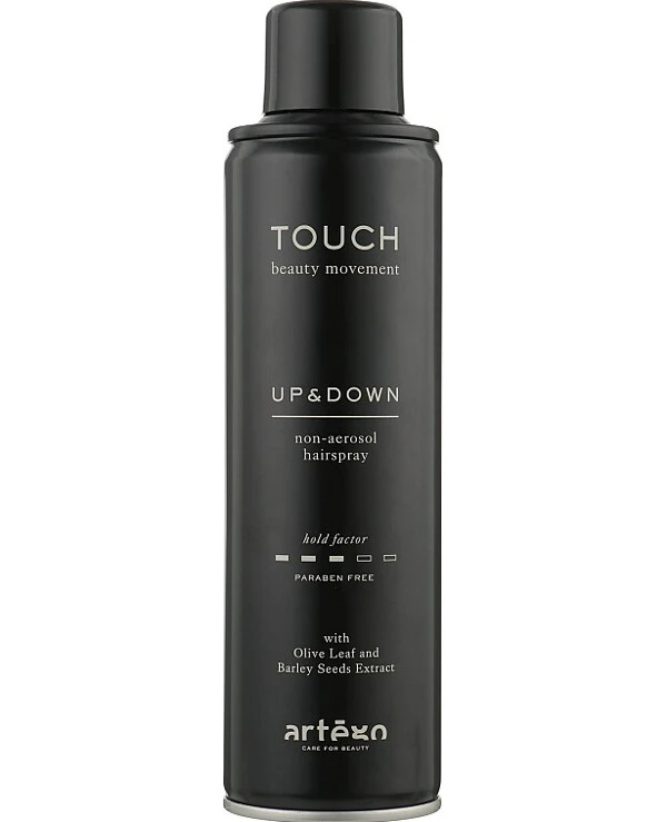 Artego - Спрей-лак для волос без газа Touch Up & Down 250 мл