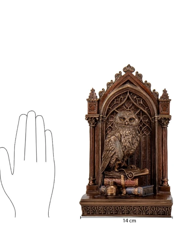 Veronese Figurine Wise Owl (24 cm) 78073A4 | 7