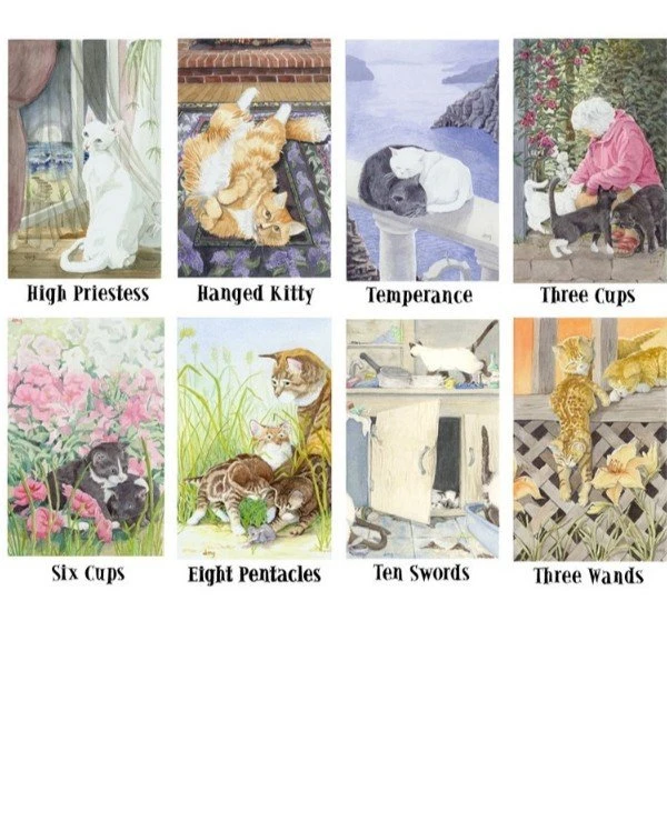 US Games Systems Tarot - Taro through the eyes of cats (125x65 mm) Cat’s Eye Tarot  back
