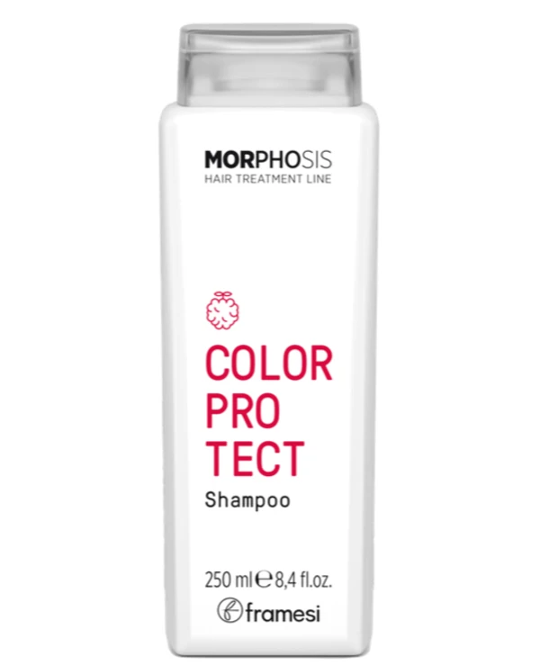 Framesi Shampoo for colored hair | Shampoo for colored hair Framesi Morphosis Color Protect Shampoo