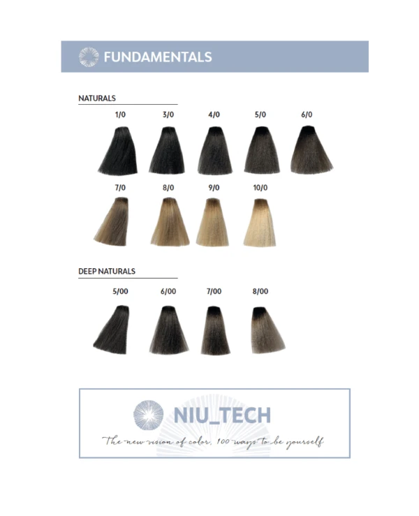 Nevitaly Permanent cream paint with ammonia | Welcome NIU_TECH 5