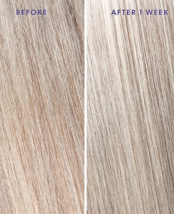 MoroccanOil Restorative oil "Violet pigments" | Treatment Purple oil with violet pigments for light and gray hair