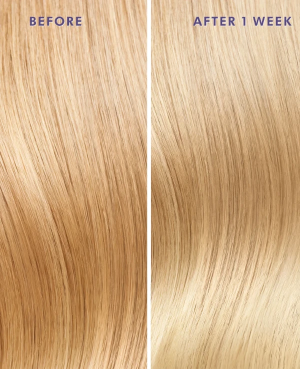 MoroccanOil Restorative oil "Violet pigments" | violet pigment oil for light and gray hair