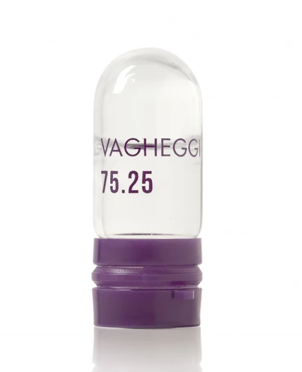 Vagheggi Профессиональный набор для интенсивного восстановления | Vagheggi 75-25 Longevity Intensive Treatment Kit