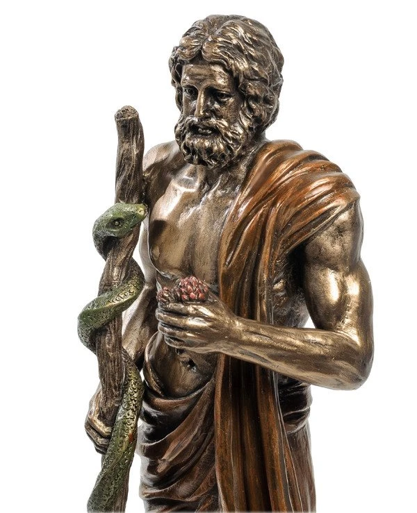 Veronese Figurine "Asclepius" (28 cm) 77123A4 | 77123A4 figurine, photo, price, buy - 3