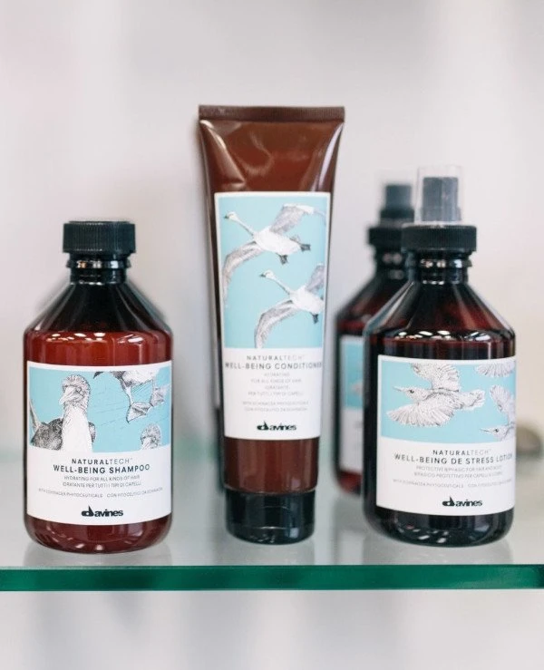 Davines Moisturizing conditioner for health of hair | 71174_Davines_Natural_Tech_Well_Being_all