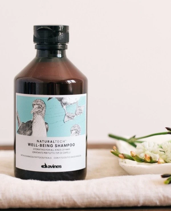 Davines Moisturizing shampoo for all hair types | Davines_well_being_shampoo_250